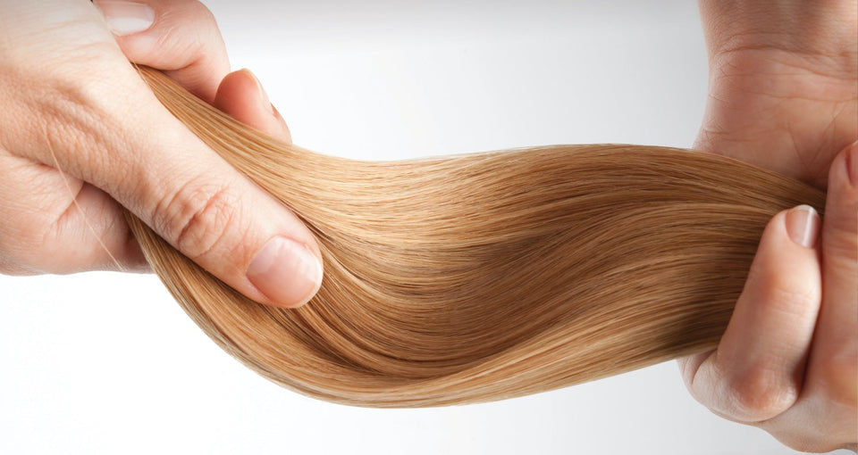 Haircare 101: Intro to How Hair Works