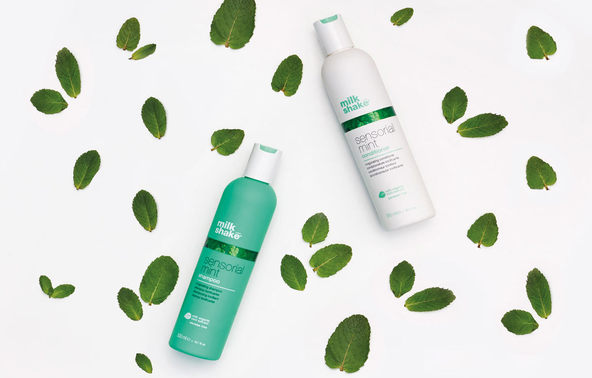 Discover The Benefits Of Organic Mint For Your Hair – Milkshake USA