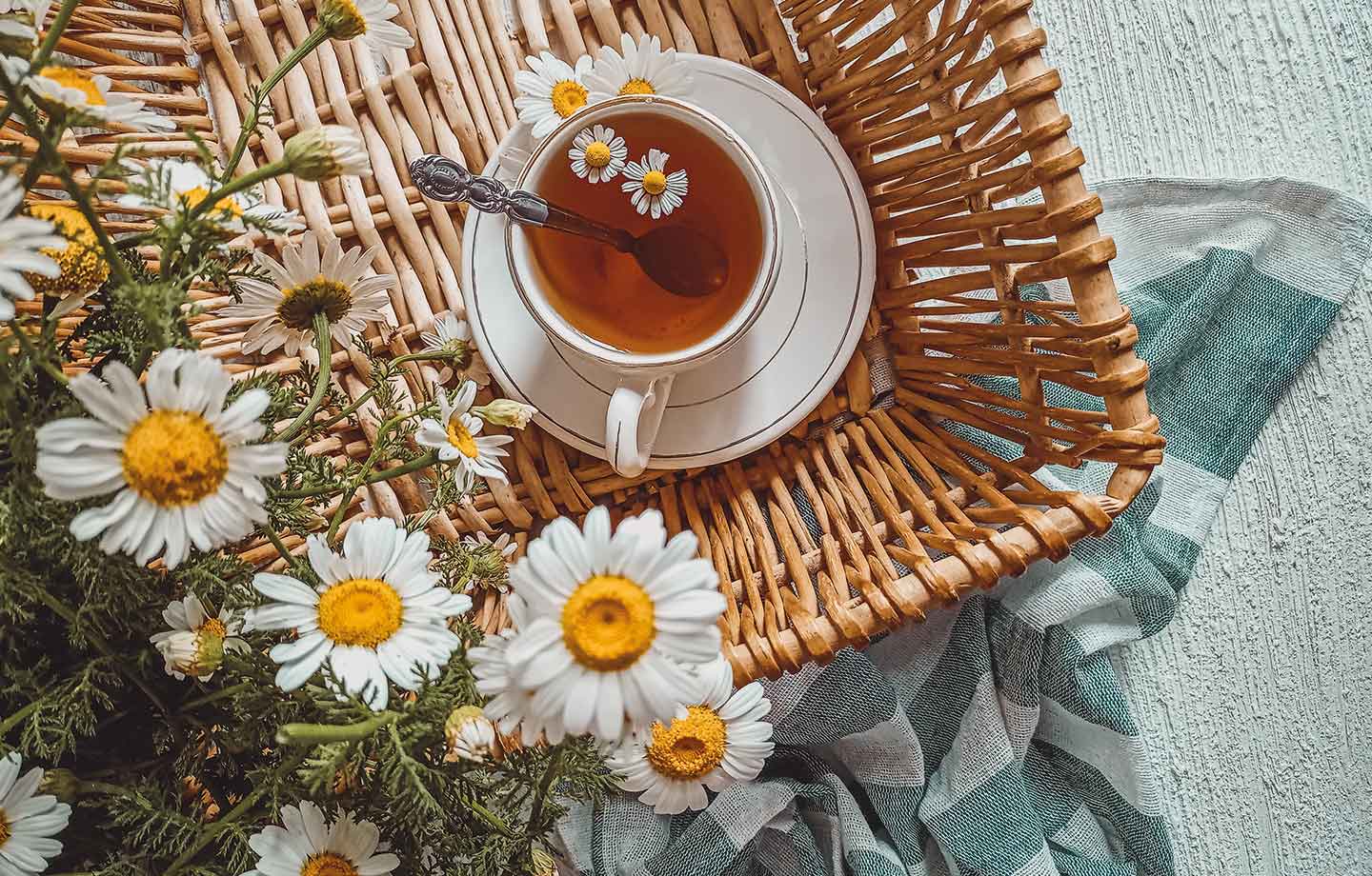 Milkshake - Shampoo Sweet Camomile - Imagen 2