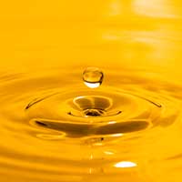 argan oil