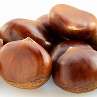 chestnut extract