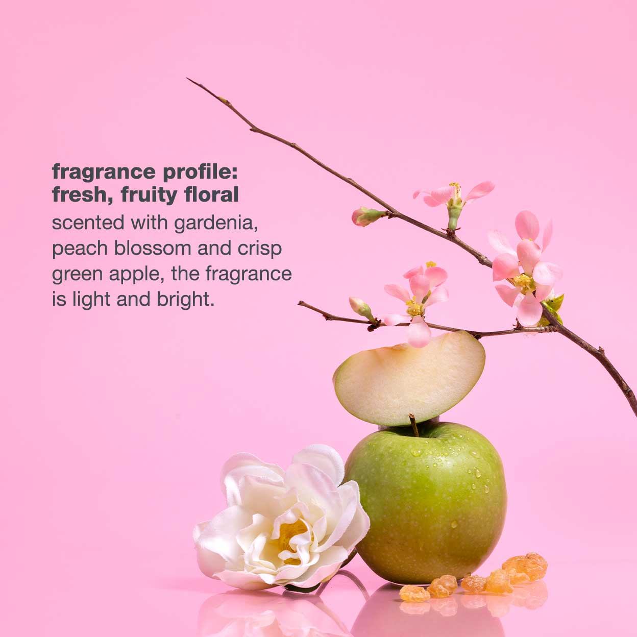 Color Care Flower Value Set – Milkshake USA