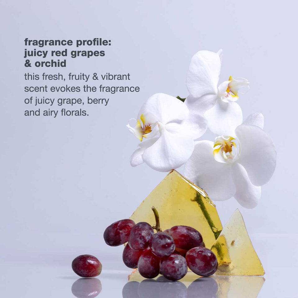 milk-shake-icy-blond-fragrance-profile