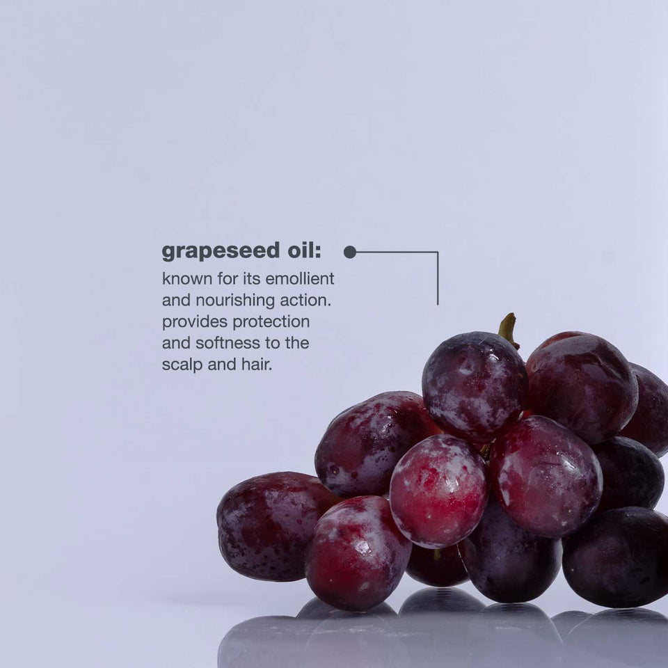 milk-shake-icy-blond-shampoo-ingredients-2