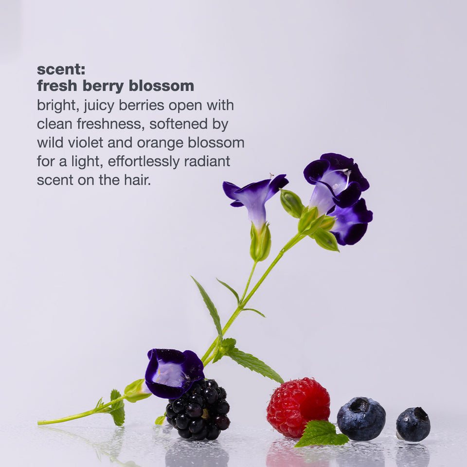 milk-shake-lifestyling-glossy-wax-fragrance-profile