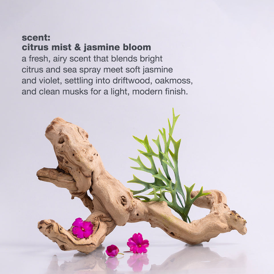 milk-shake-lifestyling-smoothing-cream-fragrance-profile