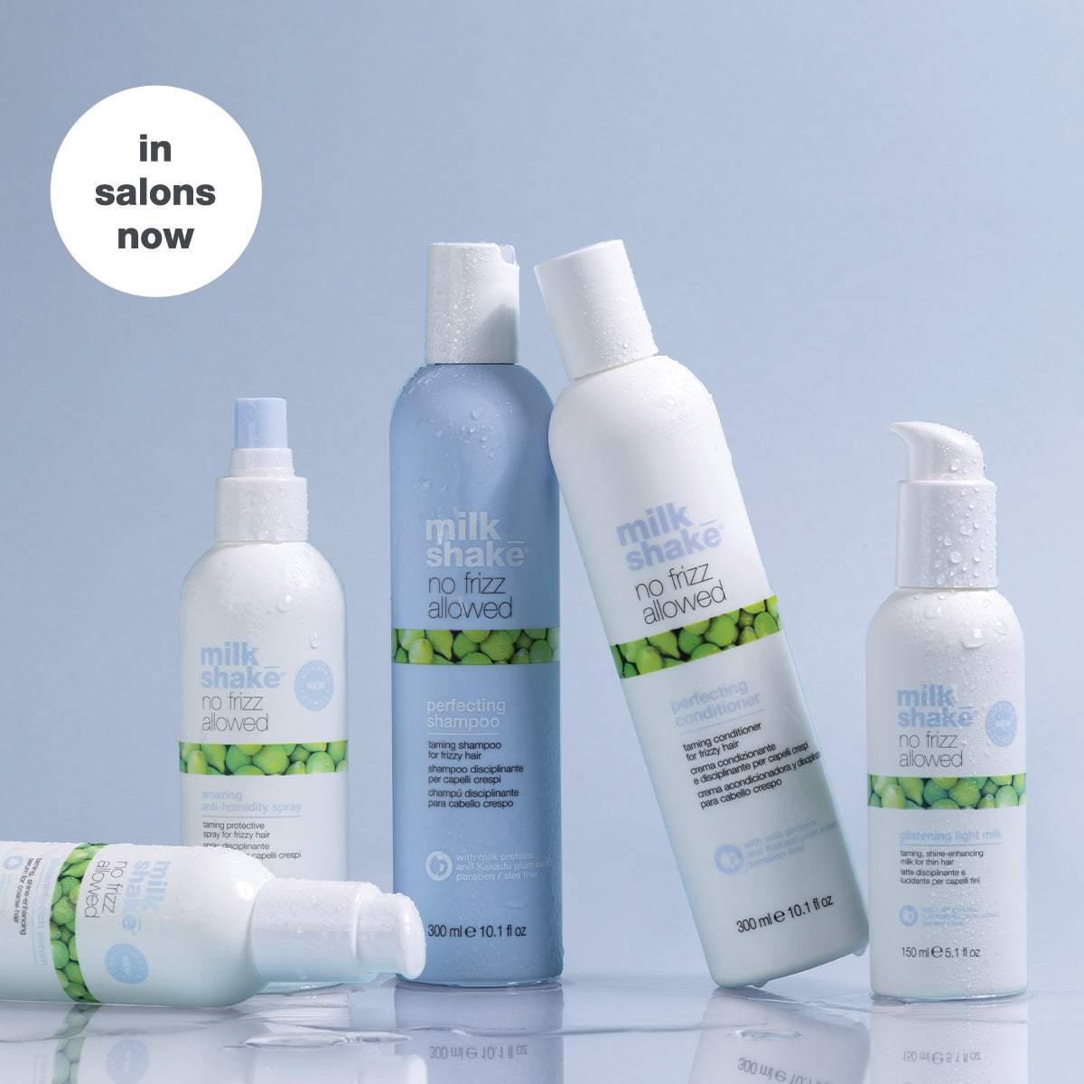 no frizz allowed perfecting shampoo | 1000ml – Milkshake USA