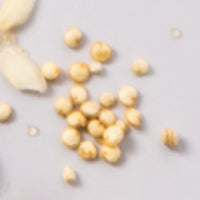 quinoa proteins