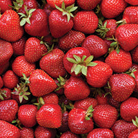 strawberry extract